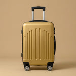 Vintage Stripe 4-Piece Spinner Luggage Set