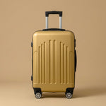 Vintage Stripe 4-Piece Spinner Luggage Set