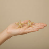 Earrings Textured Starfish Design